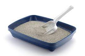 Cat Litter