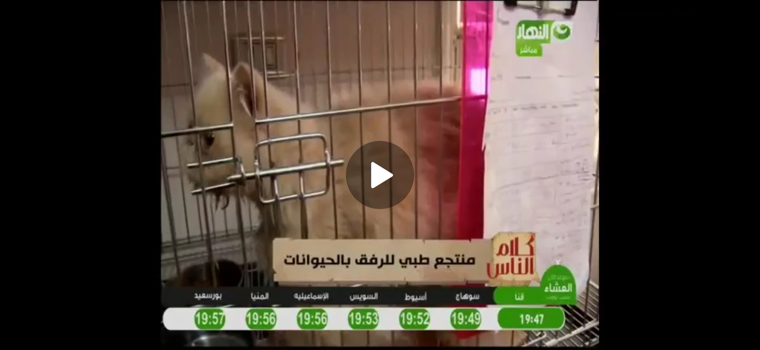 (علي قناة النهار) PetsMall