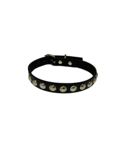 طوق جلد شكل دائرة