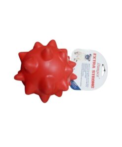 عضاضه شكل قنبله