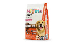 Migma dog Adult