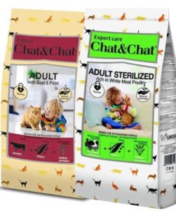 Chat chat - Adult