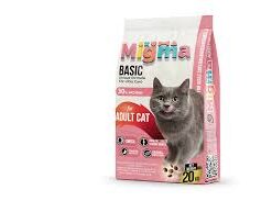 Migma Adult Cat