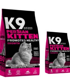 K9 Persian Kitten