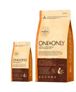 One & Only For Kitten
