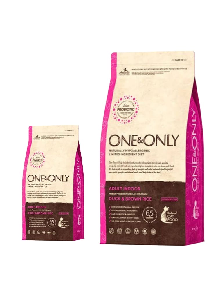 WhatsApp Image 2024-10-20 at 08.53.23_b4438836