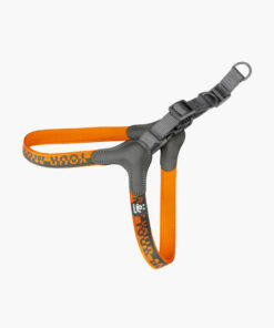 Dog Harness-Neoprene Comfort Liner-Orange