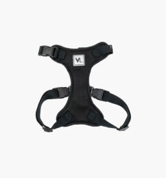 Dog Harness-Neoprene Comfort Liner-Orange